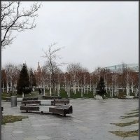 Парк "Зарядье" :: Ольга Довженко