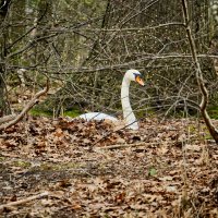 (°-°) :: Jakob Dick