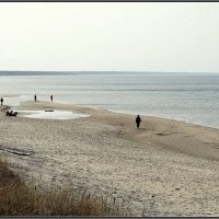 *** :: Aleksandr Gal