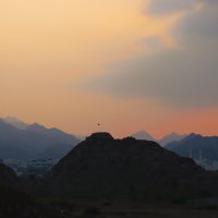 На границе ОАЭ и Омана :: Галина Ильясова