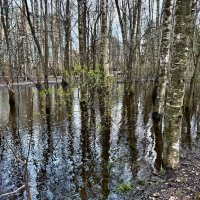 Апрельский снег) :: Любовь 