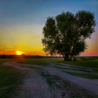 Вечерний пейзаж :: Олег Подлесных