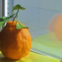 ..  на излёте жизни мандарин... :: galalog galalog