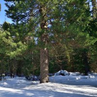 - :: Владимир Мигонькин