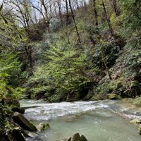 ОРЕХОВКА :: Tata Wolf