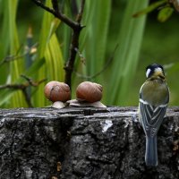Без названия :: Николай Соколухин Без названия :: Николай Соколухин