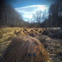 Хиппи :: Александр Лебедев