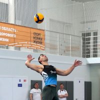 Волейбол. Силовая подача :: Сергей Сомихин