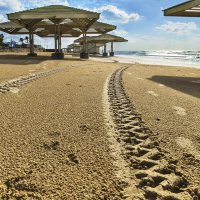 После дождя :: Эмиль 