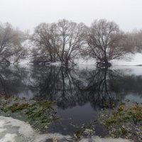 **** :: Виталий Емельянов