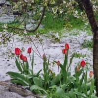 После стихии... :: Наталья 