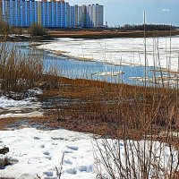 На Юганской Оби- пора ледохода! :: Владимир 