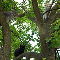 4148 :: Alex . 4148 :: Alex .