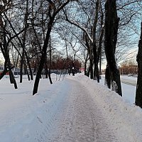 Зима. :: Владимир Драгунский Зима. :: Владимир Драгунский