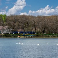 Городское водохранилище :: Игорь Сикорский Городское водохранилище :: Игорь Сикорский