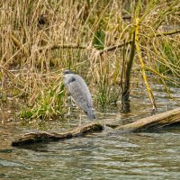 Озеро Падер :: Jakob Dick