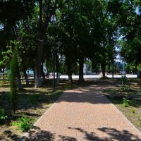 Керчь. Дорожки сквера «Алёнка» летом. :: Пётр Чернега
