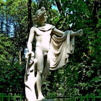 ЛЕТНИЙ САД. :: Виктор Осипчук ЛЕТНИЙ САД. :: Виктор Осипчук