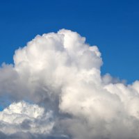 Спящая красавица... витает в облаках... :: Светлана 