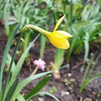 ,,, :: Сергей Тимоновский