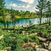 МАЛОУЛЬБИНСКОЕ ВОДОХРАНИЛИЩЕ :: HART BAD