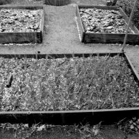 Мечты о ч/б Лейке 101. :: Михаил Елочкин