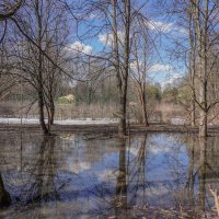 В весеннем парке... :: Владимир Жданов В весеннем парке... :: Владимир Жданов