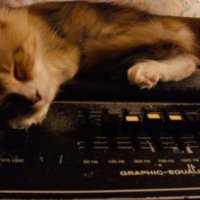 Звуковик уснул за работой :: Nora Nowhere