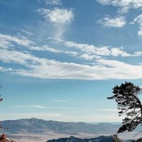 Одинокая сосна :: Георгиевич Одинокая сосна :: Георгиевич