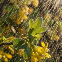 Хорошо весной :: Валерий Ткаченко