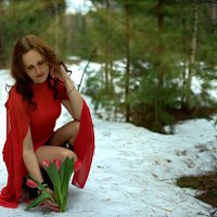 Луч солнца золотого..... :: Олег 