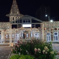 на станции Шарташ :: Елена Шаламова на станции Шарташ :: Елена Шаламова