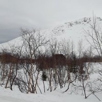 Весна в Хибинах :: Ольга 