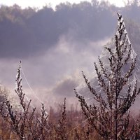 Царицыно 2 октября :: Михаил Бибичков