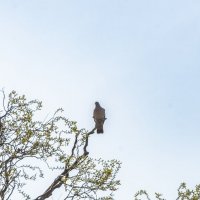 Весенний прифронтовой Белгород :: Михаил Весенний прифронтовой Белгород :: Михаил