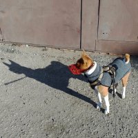 *** :: Валентина Береснева