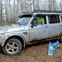 За берёзовым соком. :: Михаил К