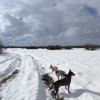 Облачный день :: Anna Ivanova Облачный день :: Anna Ivanova