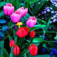 ВЕСЕННИЕ ЗАРИСОВКИ -3 :: Елена Куприянова 