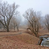 Туманно... :: Лия ☼