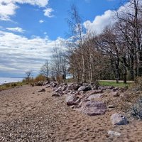 Берега Финского залива :: Лия ☼ Берега Финского залива :: Лия ☼