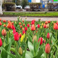 ,,, :: Сергей Тимоновский