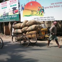 Индийский транспорт бывает разным. :: unix (Илья Утропов)