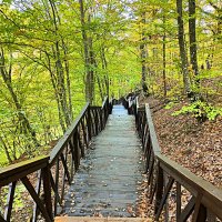 Экотропа с деревянными ступенями и перилами к водопаду Джур-Джур :: Виктор Мухин