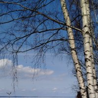 На речном вокзале :: светлана льдокова