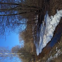 Еще недопоказанное в марте :: Андрей Лукьянов