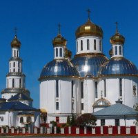 Собор Воскресения Господня в Бресте. Беларусь. :: Николай Кондаков