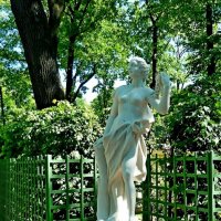 ЛЕТНИЙ САД. :: Виктор Осипчук ЛЕТНИЙ САД. :: Виктор Осипчук