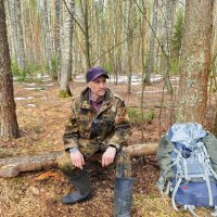 В весеннем лесу :: Денис Бочкарёв