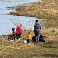 Семейный отдых на реке. :: Валерия Комова